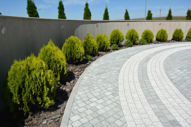 Reasons to Select Us for Your Driveway Paving Requirements in Navassa, NC